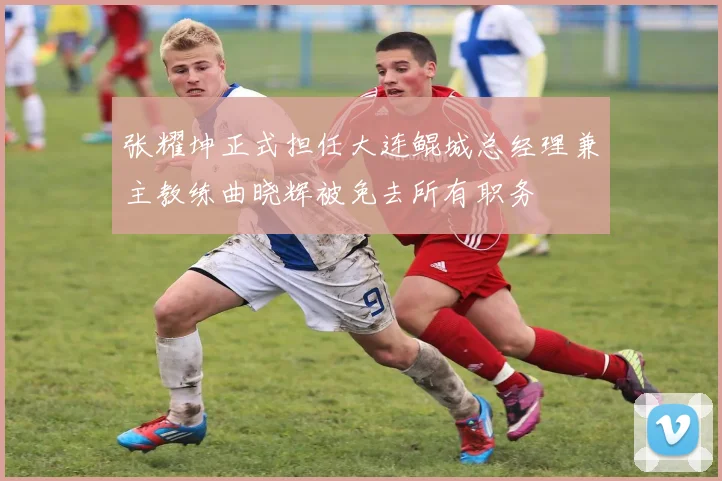 张耀坤正式担任大连鲲城总经理兼主教练曲晓辉被免去所有职务