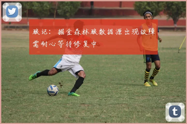 狼记：掘金森林狼数据源出现故障需耐心等待修复中