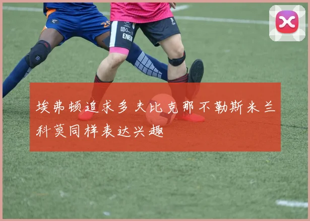 埃弗顿追求多夫比克那不勒斯米兰科莫同样表达兴趣