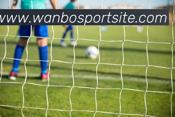 万博体育品牌故事