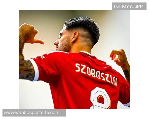 范佩西透露裁判中场道歉称上半场进球不该被判无效 范佩西透露裁判中场道歉称上半场进球不该被判无效